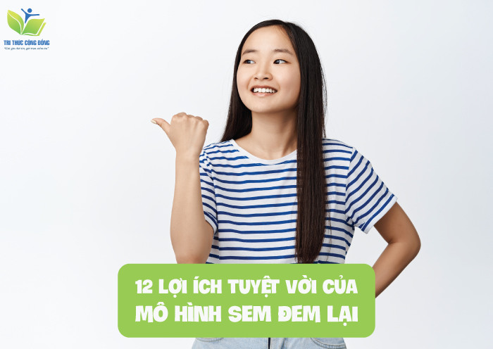 12 lợi ích tuyệt vời của mô hình SEM đem lại 12 lợi ích tuyệt vời của mô hình SEM đem lại