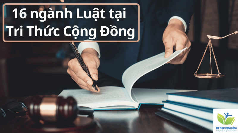 16 ngành luật tại Tri Thức Cộng Đồng 16 ngành luật tại Tri Thức Cộng Đồng