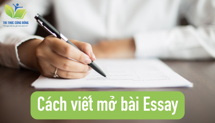 Cách viết mở bài essay