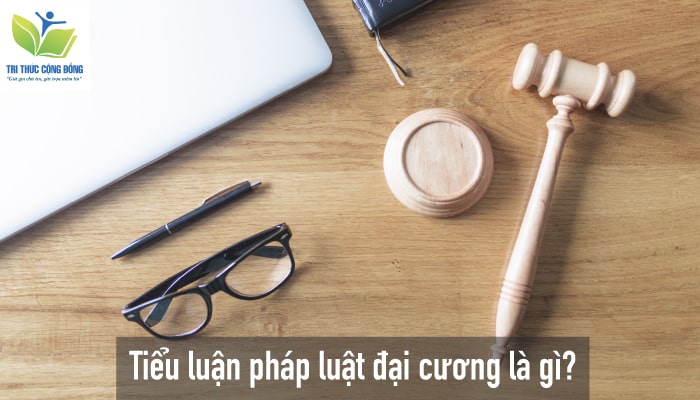 Tiểu luận pháp luật đại cương là gì? Tiểu luận pháp luật đại cương là gì?