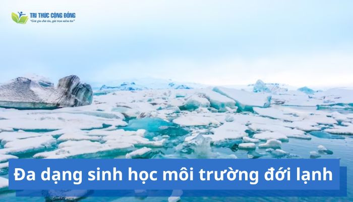 Đa dạng sinh học môi trường đới lạnh