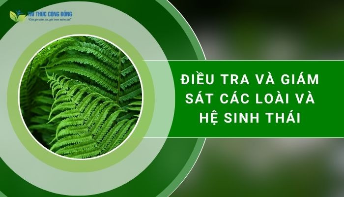 Điều tra và giám sát các loài và hệ sinh thái Điều tra và giám sát các loài và hệ sinh thái