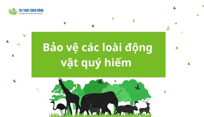 Bảo vệ các loài động vật quý hiếm Bảo vệ các loài động vật quý hiếm