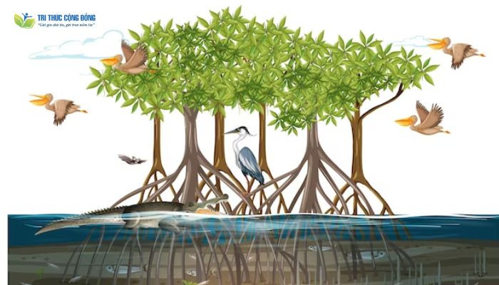 Biểu hiện của suy giảm đa dạng sinh học Biểu hiện của suy giảm đa dạng sinh học