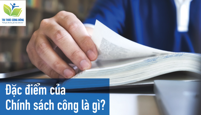 Hình ảnh Đặc điểm của chính sách công là gì?
