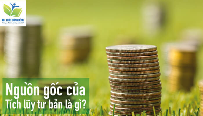 Nguồn gốc của tích lũy tư bản là gì