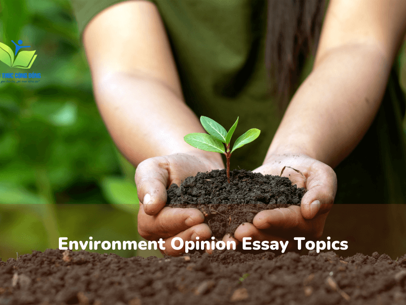 Bài Environment opinion essay đạt 500 lượt tải Bài Environment opinion essay đạt 500 lượt tải