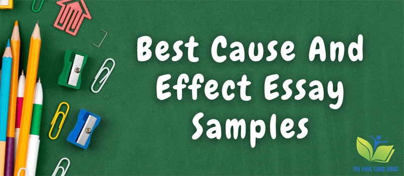 Bài essay mẫu về Cause And Effect xuất sắc nhất Bài essay mẫu về Cause And Effect xuất sắc nhất