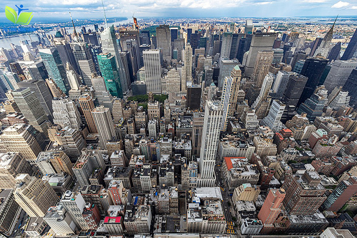 Building/ City Building/ City