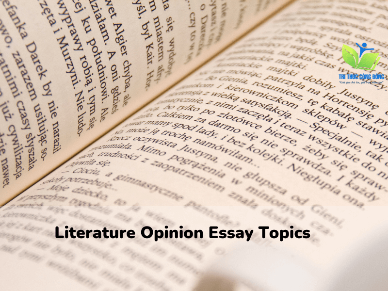 Bài literature opinion essay đặc sắc nhất Bài literature opinion essay đặc sắc nhất