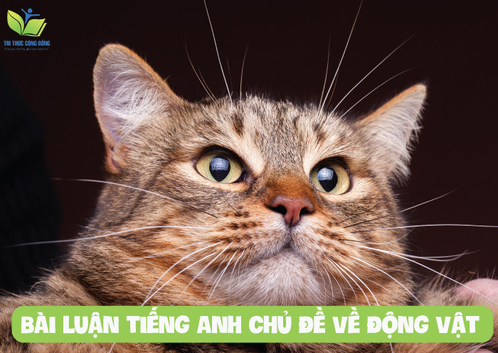 Bài luận tiếng anh chủ đề về động vật