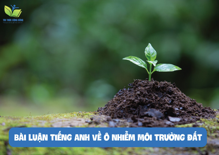 Bài luận tiếng anh về ô nhiễm môi trường đất Bài luận tiếng anh về ô nhiễm môi trường đất