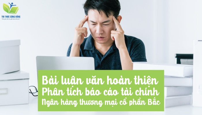 Bài luận văn hoàn thiện phân tích báo cáo tài chính ngân hàng thương mại cổ phần Bắc Á