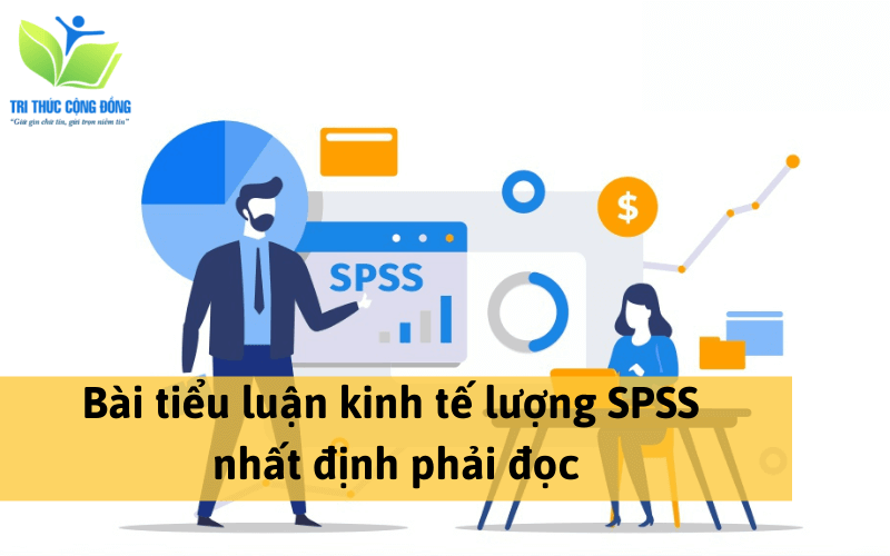 Bài tiểu luận kinh tế lượng SPSS nhất định phải đọc Bài tiểu luận kinh tế lượng SPSS nhất định phải đọc