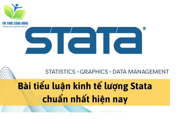 Bài tiểu luận kinh tế lượng Stata chuẩn nhất Bài tiểu luận kinh tế lượng Stata chuẩn nhất