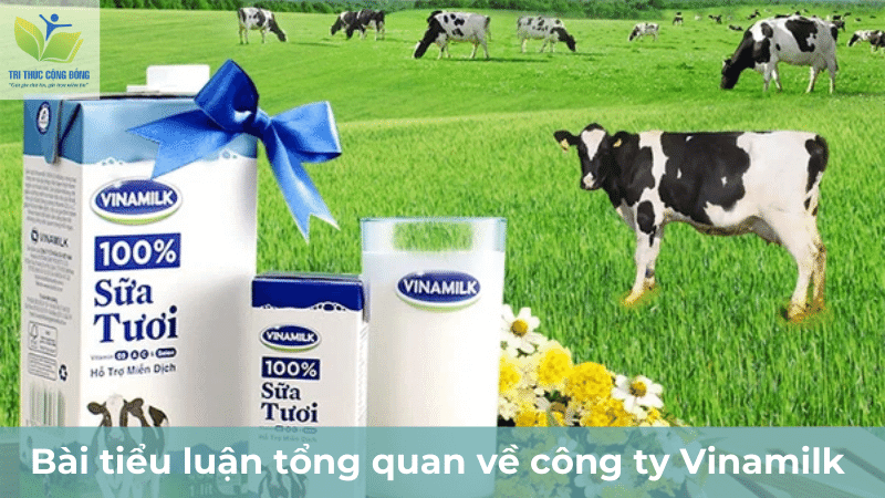Bài tiểu luận tổng quan về công ty Vinamilk 