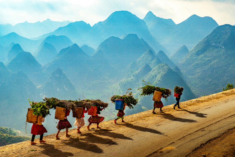 Các em bé vùng cao Hà Giang đi cắt cỏ sáng sớm