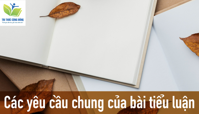 Các yêu cầu chung của bài tiểu luận