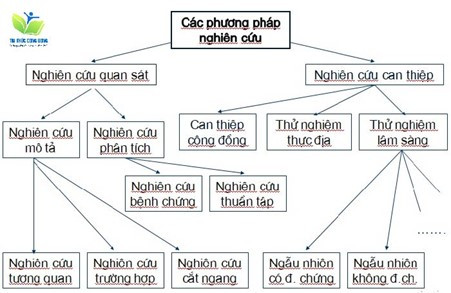 Cách viết bài báo khoa học: Trình bày phương pháp nghiên cứu
