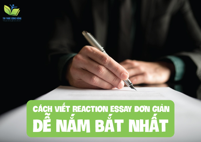 Cách viết reaction essay đơn giản, dễ nắm bắt nhất