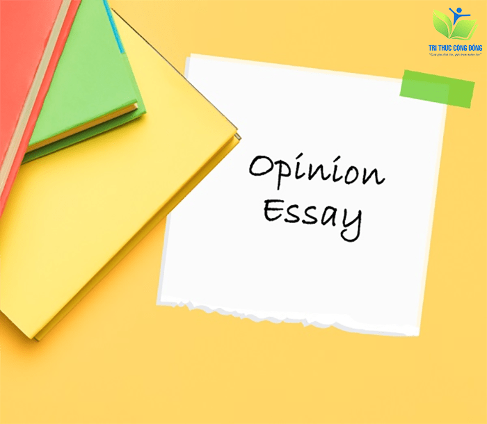 Cân nhắc cách viết dạng bài Opinion Essay phù hợp Cân nhắc cách viết dạng bài Opinion Essay phù hợp