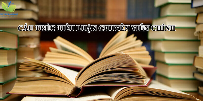 Cấu trúc bài tiểu luận chuyên viên chính