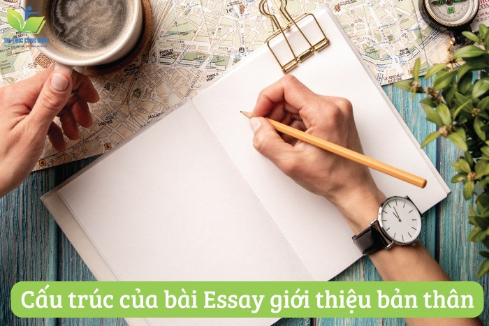 Cấu trúc của bài essay giới thiệu bản thân Cấu trúc của bài essay giới thiệu bản thân