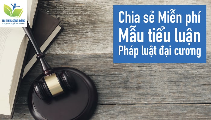 Chia sẻ Miễn phí mẫu tiểu luận pháp luật đại cương Chia sẻ Miễn phí mẫu tiểu luận pháp luật đại cương