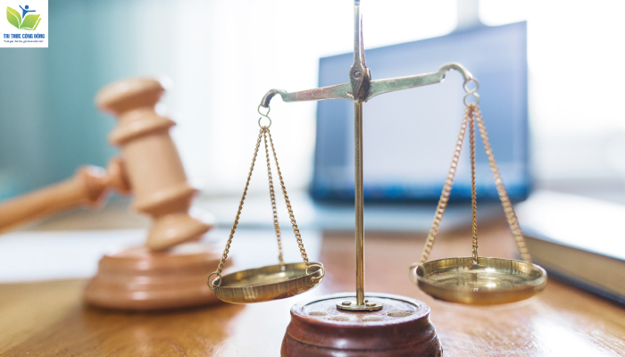 Tổng hợp đề tài luận văn thạc sĩ luật kinh tế