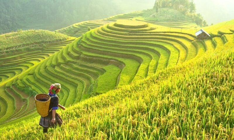 Du lịch sinh thái ruộng bậc thang của dân tộc miền núi phía Bắc 