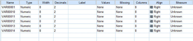 Dữ liệu hiện lên tại sheet “Variable View”