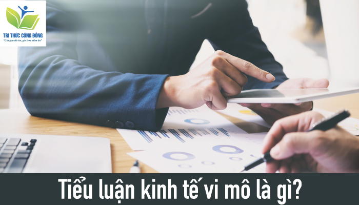 Tiểu luận kinh tế vi mô là gì?