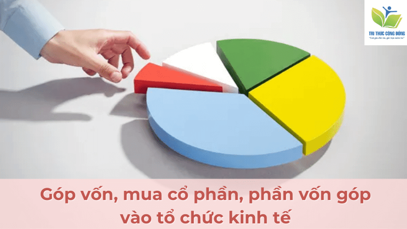 Góp vốn, mua cổ phần, phần vốn góp vào tổ chức kinh tế