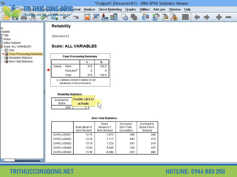 Cách đọc kết quả đầu ra khi chạy Cronbach Alpha trong SPSS
