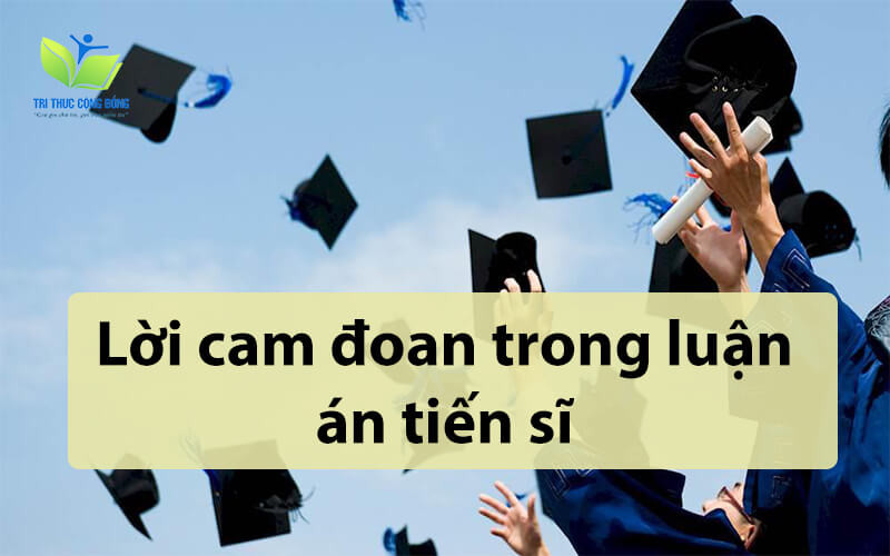 Mẫu lời cam đoan trong luận án tiến sĩ Mẫu lời cam đoan trong luận án tiến sĩ