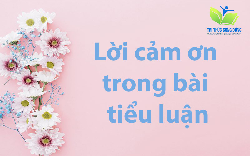 Lời cảm ơn trong bài tiểu luận