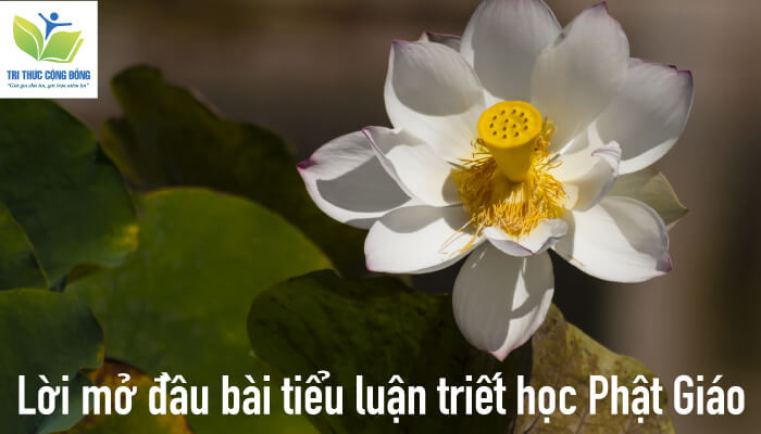 Lời mở đầu bài tiểu luận triết học Phật Giáo Lời mở đầu bài tiểu luận triết học Phật Giáo