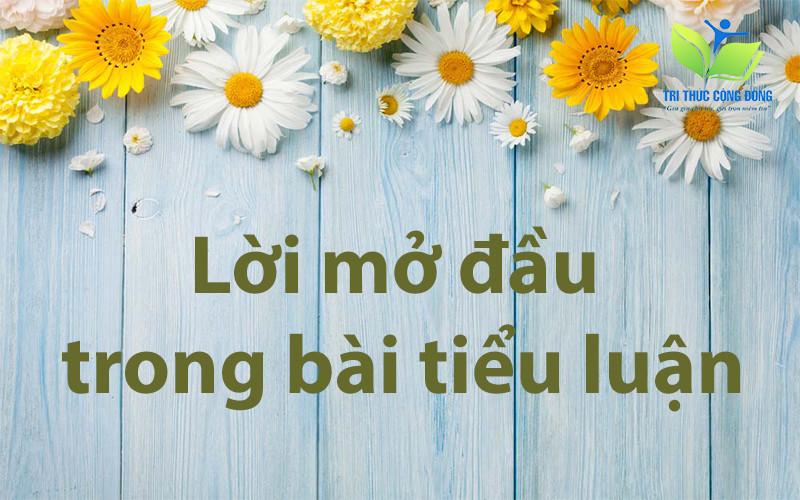 Lời mở đầu trong bài tiểu luận