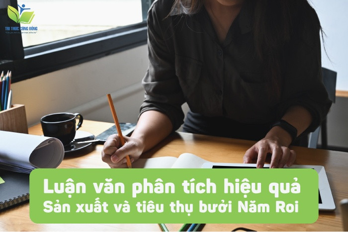 Luận văn phân tích hiệu quả sản xuất và tiêu thụ bưởi Năm Roi Luận văn phân tích hiệu quả sản xuất và tiêu thụ bưởi Năm Roi