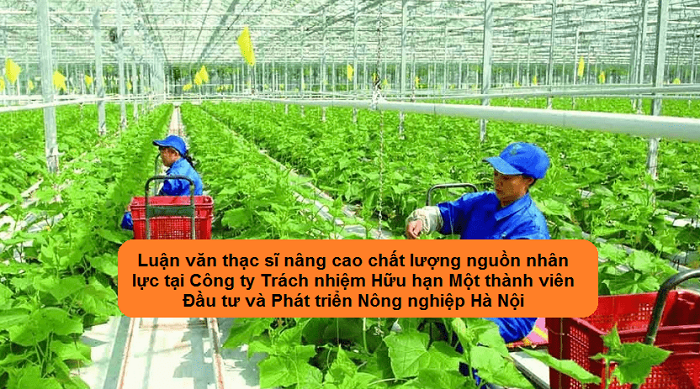 Luận văn thạc sĩ nâng cao chất lượng nguồn nhân lực tại Công ty Trách nhiệm Hữu hạn Một thành viên Đầu tư và Phát triển Nông nghiệp Hà Nội Luận văn thạc sĩ nâng cao chất lượng nguồn nhân lực tại Công ty Trách nhiệm Hữu hạn Một thành viên Đầu tư và Phát triển Nông nghiệp Hà Nội