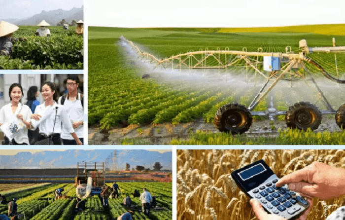 Luận văn thạc sĩ quản lý công với đề tài quản lý nhà nước về kinh tế nông nghiệp