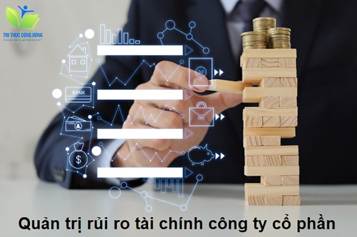 Luận văn thạc sĩ quản trị rủi ro tài chính tại công ty cổ phần may Sông Hồng