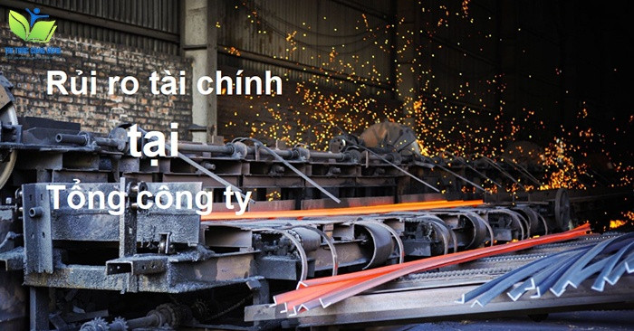 Luận văn thạc sĩ quản trị rủi ro tài chính tại tổng công ty thép Việt Nam