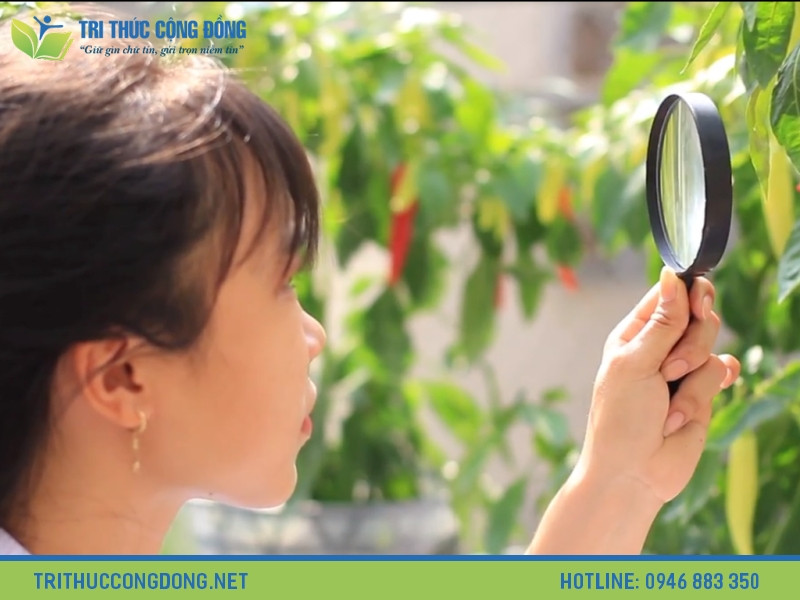 Các chủ đề nghiên cứu phổ biến trong luận văn tốt nghiệp bảo vệ thực vật