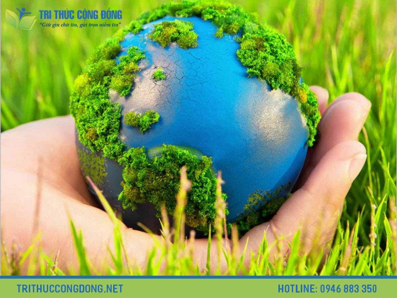 Vai trò của tài liệu tham khảo và cách trích dẫn đúng chuẩn