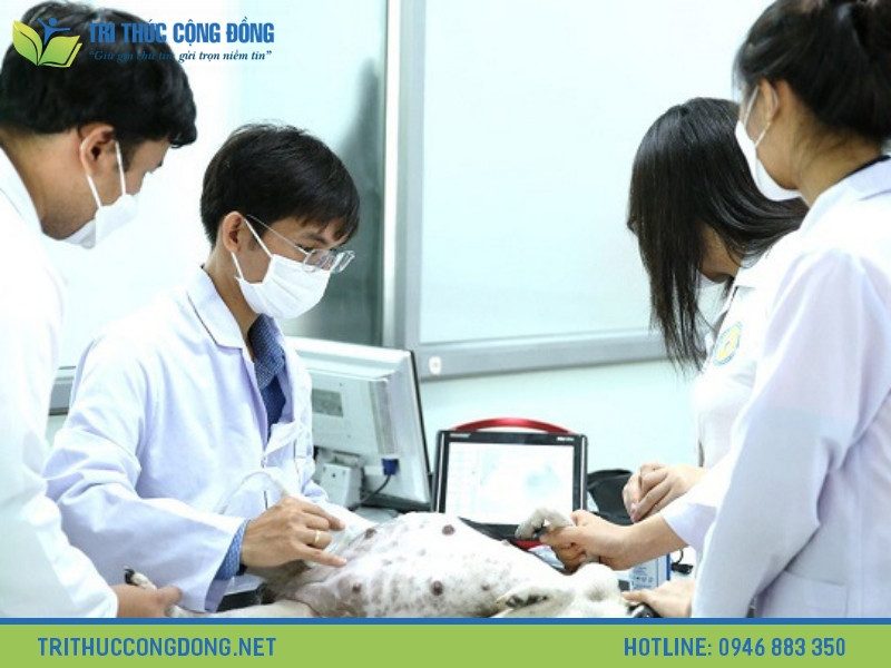 Giới thiệu về luận văn tốt nghiệp ngành thú y Giới thiệu về luận văn tốt nghiệp ngành thú y
