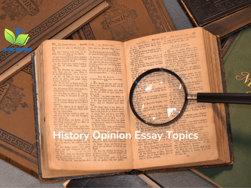 Mẫu bài History Opinion Essay được đánh giá cao Mẫu bài History Opinion Essay được đánh giá cao