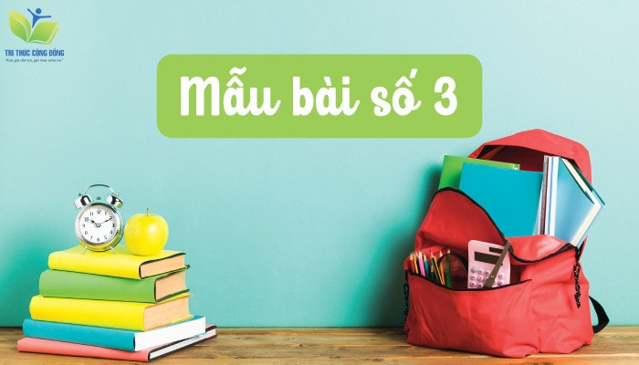 Mẫu bài số 3 Mẫu bài số 3