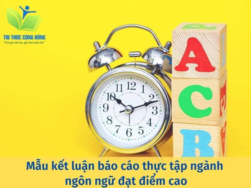 Mẫu kết luận báo cáo thực tập ngành ngôn ngữ đạt điểm cao