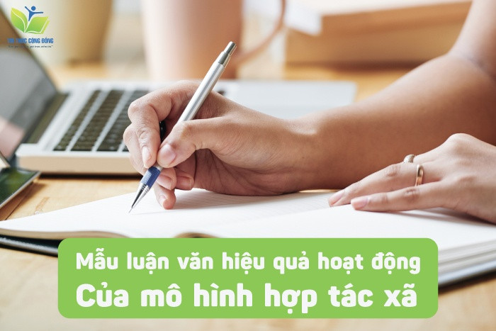 Mẫu luận văn hiệu quả hoạt động của mô hình hợp tác xã Mẫu luận văn hiệu quả hoạt động của mô hình hợp tác xã